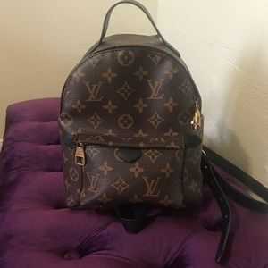 Louis Vuitton Palm Springs backpack